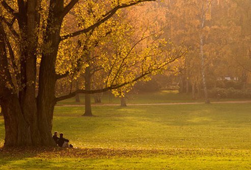 Photo of a couple sitting and talking under a tree.