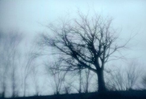 Seasonal Depression
