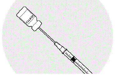 Remove the needle from the syringe, Firmly place the cannula on the syringe and
remove the plastic cap - Illustration Remove the needle from the syringe, Firmly place the cannula on the syringe and
remove the plastic cap - Illustration