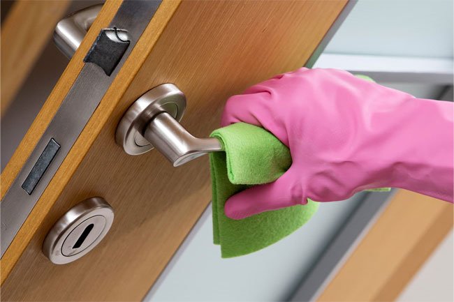 Bleach is good for cleaning up bodily fluids like blood, vomit and feces. 