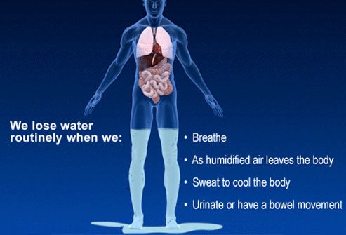 Dehydration can lead to serious consequences, including disorientation, coma, and death.