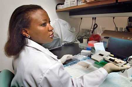 Picture of micro-pipetting samples into a polystyrene plate for an ELISA test kit Picture of micro-pipetting samples into a polystyrene plate for an ELISA test kit