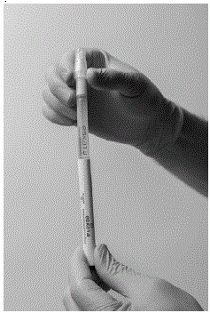 Holding the
applicator with cap pointing up, tap the bottom of the applicator to separate
the solution from the crushed ampule - Illustration Holding the
applicator with cap pointing up, tap the bottom of the applicator to separate
the solution from the crushed ampule - Illustration