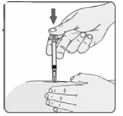 If no blood appears in the syringe, slowly push the plunger all the way in until the syringe is empty - Illustration