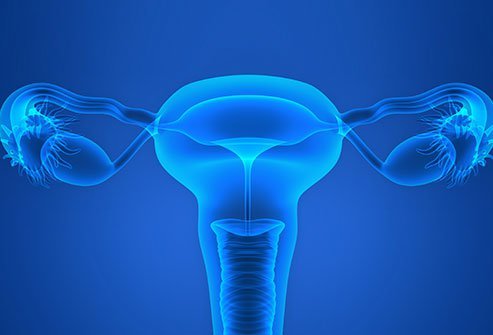 As per research, the cost of fallopian tube surgeries may start from a minimum of $3000 and may go up to $13,000 approximately. 