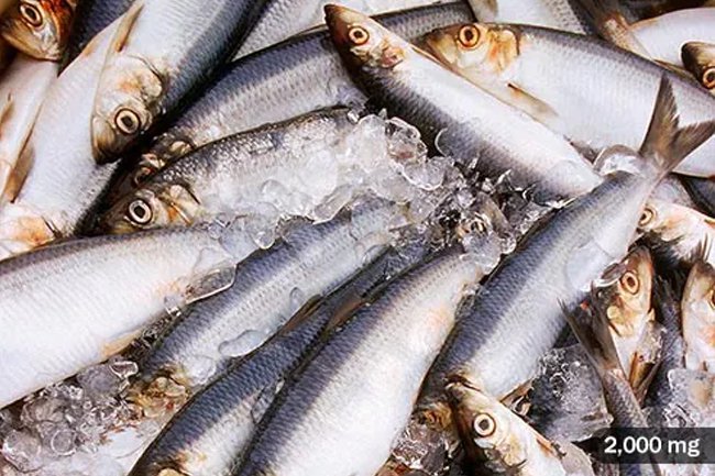 Atlantic herring is eaten in Scandinavia and several parts of Europe. 
