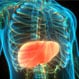 What Is the Life Expectancy of Someone With Alpha-1 Antitrypsin Deficiency?