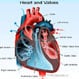 Aortic Valve Stenosis (Symptoms, Causes, Surgery)