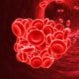 Blood Clots (in the Leg)