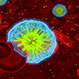 CRE Bacteria Infection