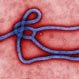 Ebola (Ebola Virus Disease or Ebola Hemorrhagic Fever)