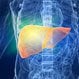 Hepatitis C (HCV, Hep C)