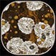 Histoplasmosis (Cave Disease)