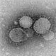 MERS (Middle East Respiratory Syndrome)