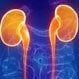 Polycystic Kidney Disease (PKD), ARPKD, and  ADPKD