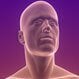 Pseudotumor Cerebri (Idiopathic Intracranial Hypertension)