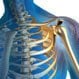 Sacroiliac Joint Dysfunction (SI Joint Pain)
