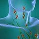 Swollen Lymph Nodes (Glands)