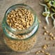 What Are the Benefits of Fenugreek?