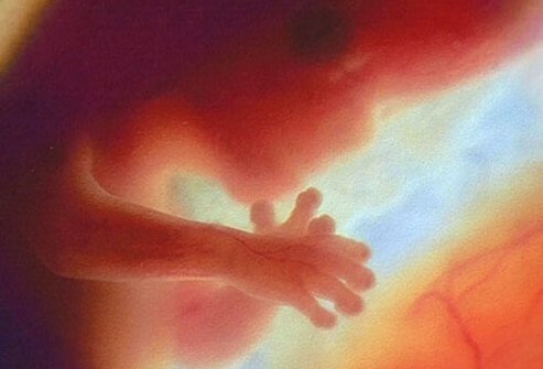 At 12 weeks, the fetus has grown to about 2 inches (4.4cm) in length and may begin to move by itself.