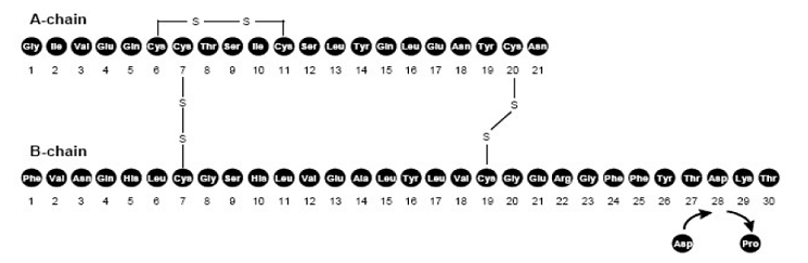FIASP® (insulin aspart) Structural Formula Illustration