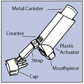 FLOVENT HFA inhaler - Illustration FLOVENT HFA inhaler - Illustration