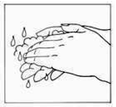 Wash your hands - Illustration