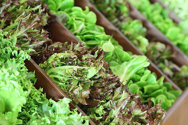 Vitamin K in leafy greens may interfere with blood thinning medications.