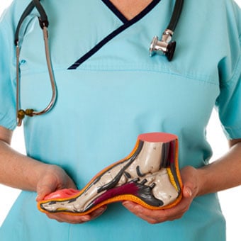 A doctor holds a model of a foot.