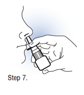 Using Fortical Nasal Spray - Illustration Using Fortical Nasal Spray - Illustration