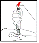 Red release button - - Illustration