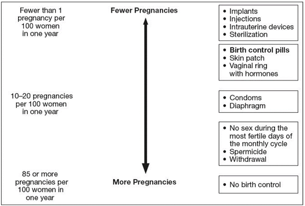 Flow Chart - Illustration
