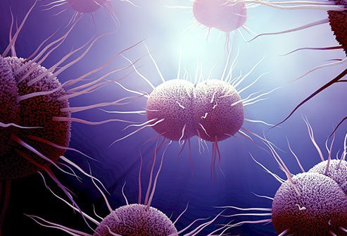 Bacteria are microbes that are invisible to the naked eye because of their size.
