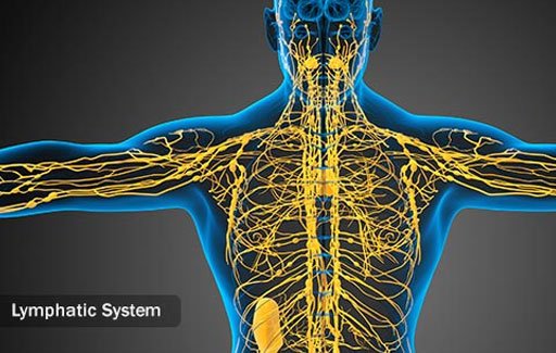 Eye cancer may form in the lymphatic system of the eyes. 