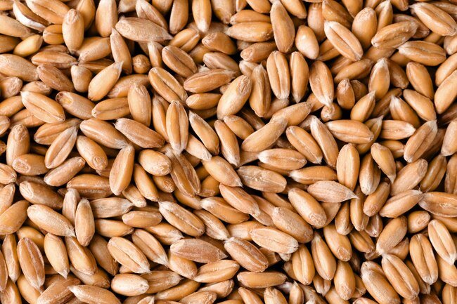 Spelt has more gluten than wheat flour.