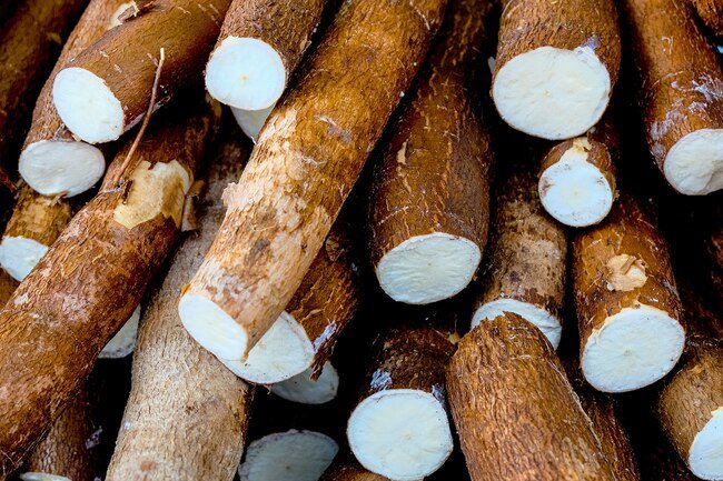 Cassava is good for soups, stews, and in breading for pan-fried dishes.