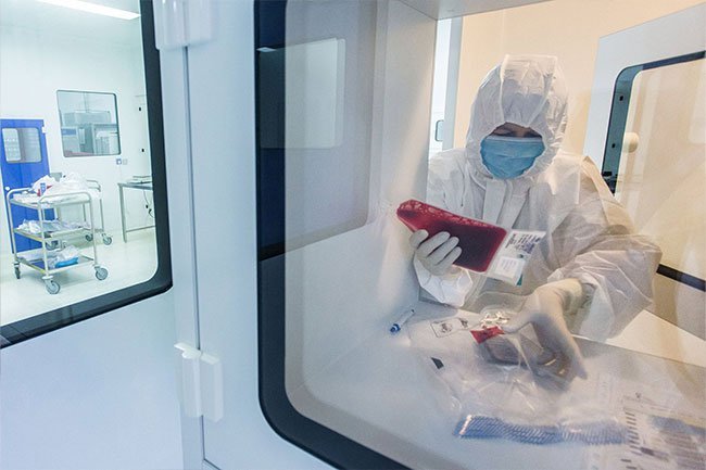 Stem cell transplants from a compatible donor may cure some children who have sickle cell disease. 