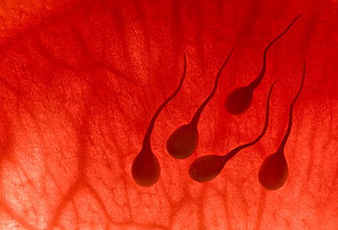 Sex can lower prostate cancer risks.