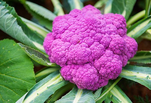 Purple cauliflower is rich in anthocyanins. 