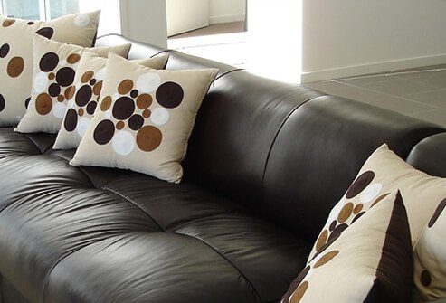 When choosing furnishings, it is best to go with wood, leather, vinyl, or rubberized canvas furniture and avoid upholstered pieces.
