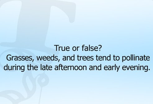 Are pollen allergens worse in the evening? 