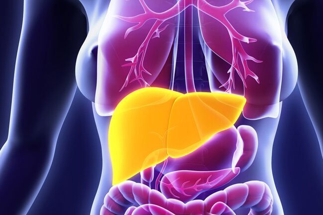 Up to half of the people in the hospital for COVID-19 have enzyme levels in their blood that signal liver damage.