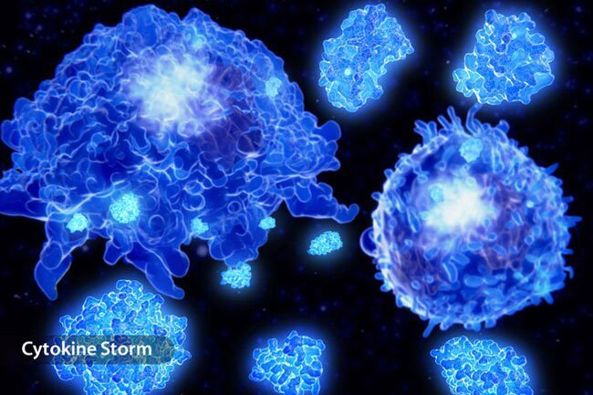 Many doctors think an overblown immune response causes many of the more serious consequences of COVID-19.
