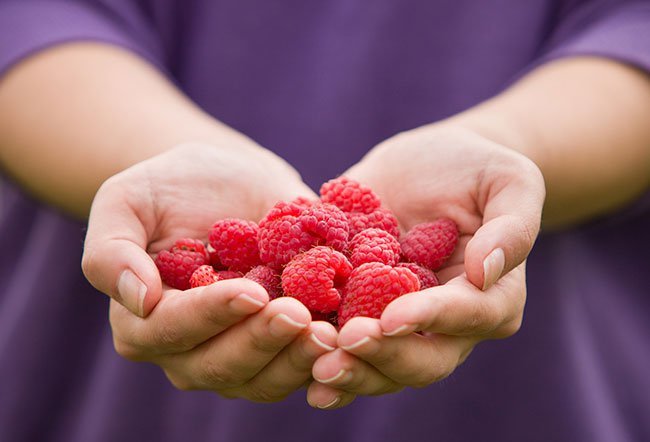 A polyphenol-rich diet helps keep the heart, nerves, and blood vessels healthy.