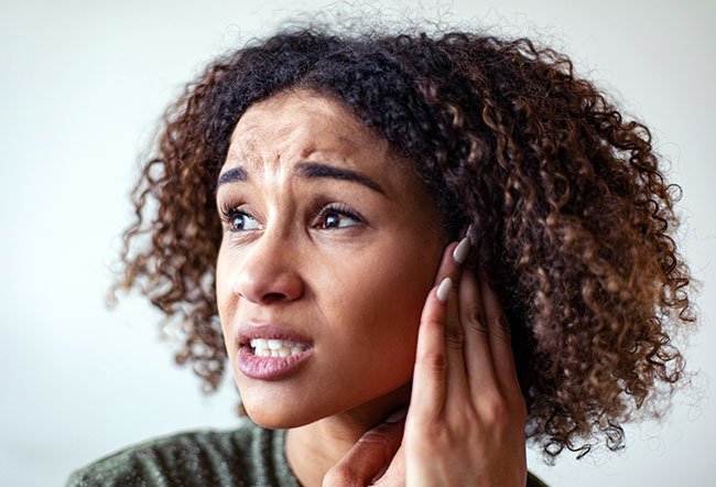 The outer ear canal is lined with many oil glands (sebaceous glands) and modified sweat glands. 