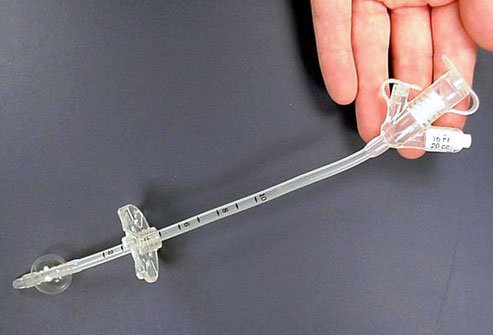 There are various ways in which each tube is different There are various ways in which each tube is different