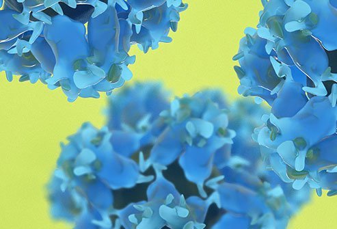 Of all warts, 30% will subside within the first four months of infection.