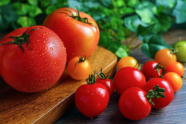 Keep tomatoes out away from sun or heat, but do put them in the refrigerator after you cut them.