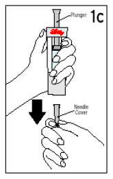 Storage Case - Illustration