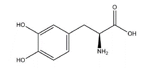 INBRIJA™ (levodopa) Structural Formula - Illustration INBRIJA™ (levodopa) Structural Formula - Illustration